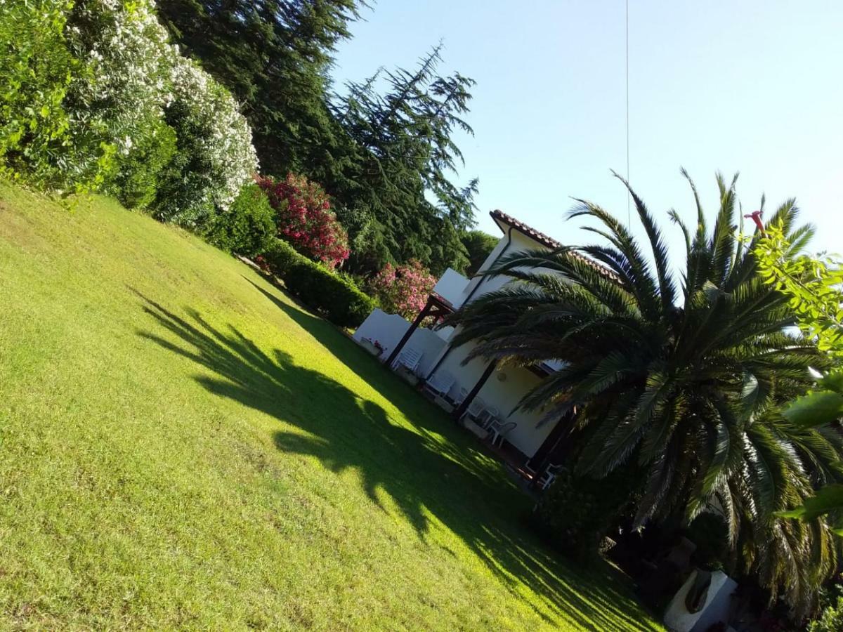 Ferienwohnung Le Palme Capoliveri  Exterior foto