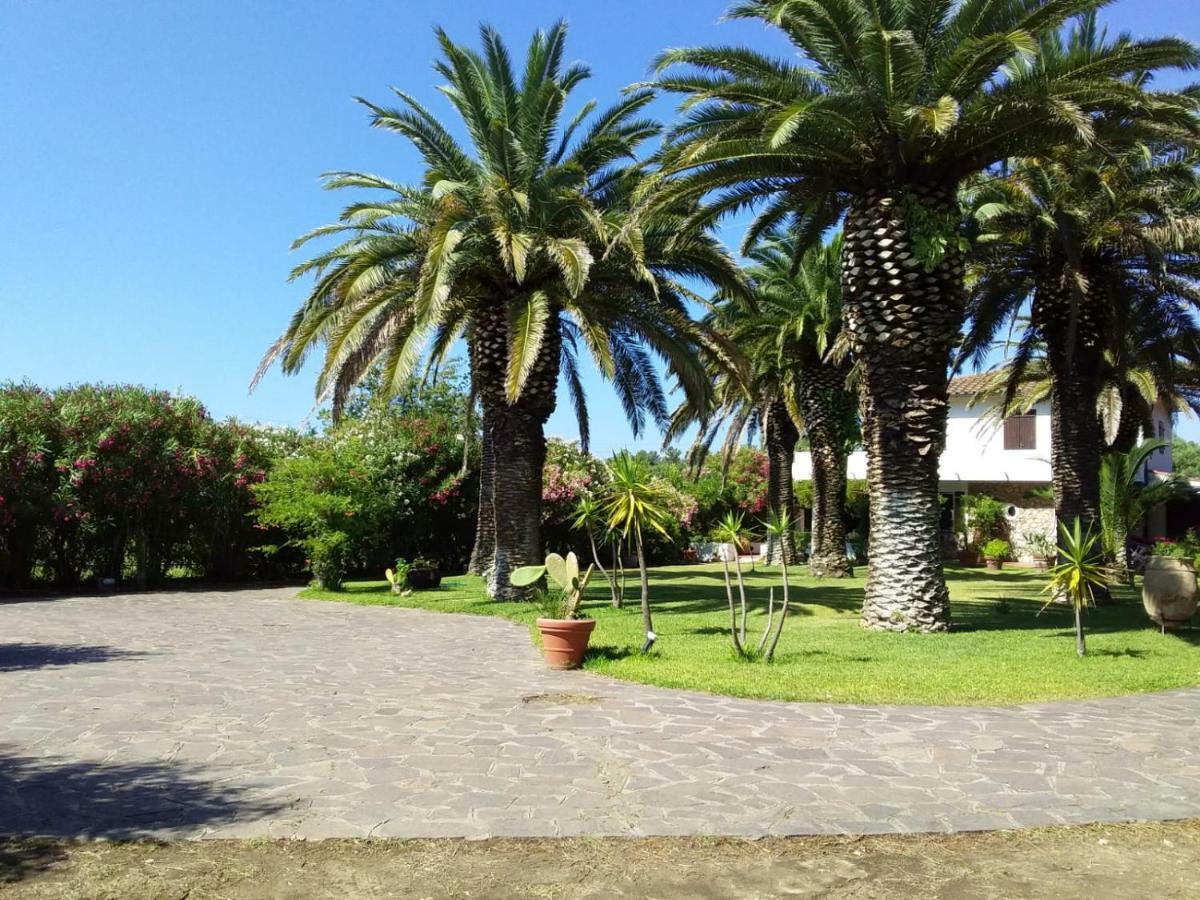 Ferienwohnung Le Palme Capoliveri  Exterior foto