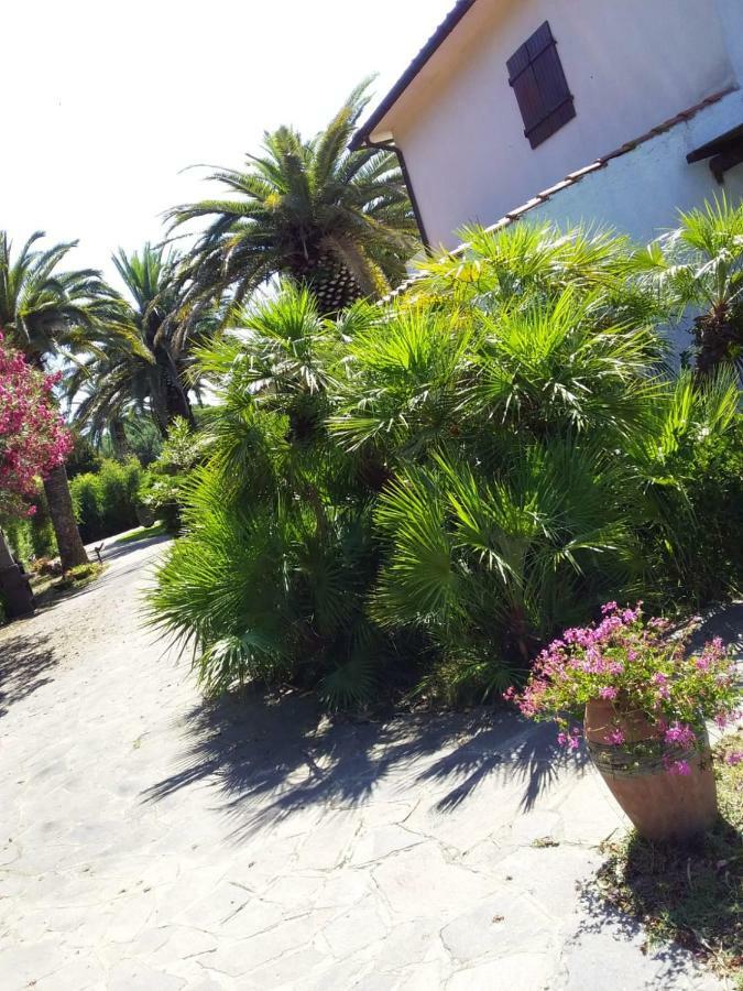 Ferienwohnung Le Palme Capoliveri  Exterior foto